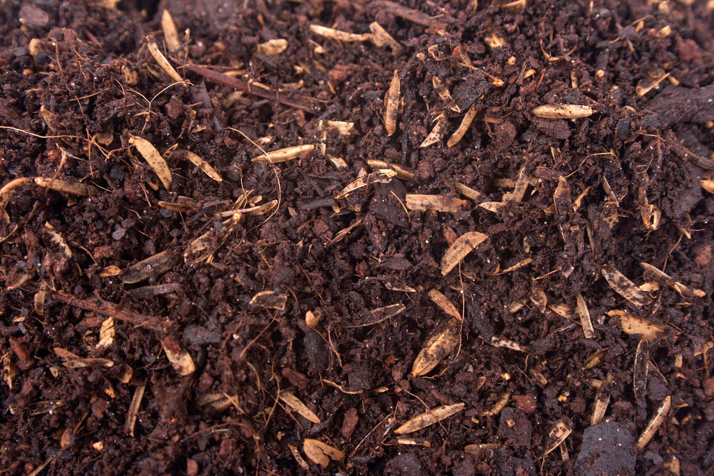 ORGANIC MECHANICS® Container Blend Potting Soil COLLECTIVE