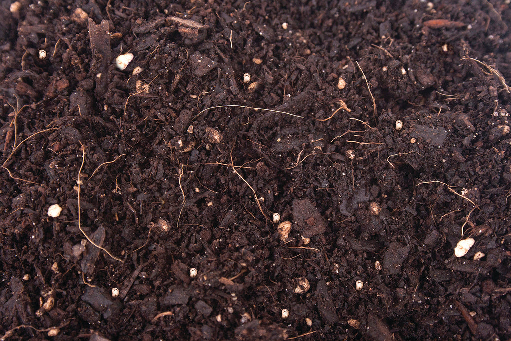 ORGANIC MECHANICS® Premium Blend Potting Soil COLLECTIVE