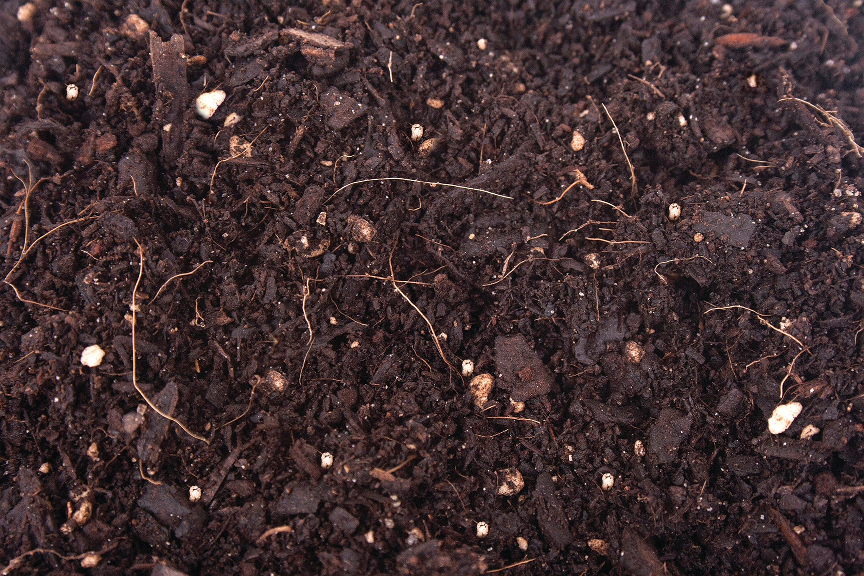 ORGANIC MECHANICS® Premium Blend Potting Soil COLLECTIVE