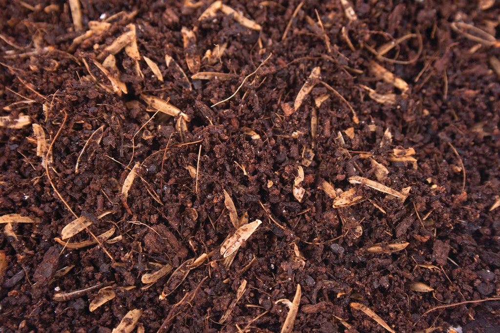 ORGANIC MECHANICS® Seed Starting Blend Potting Soil COLLECTIVE