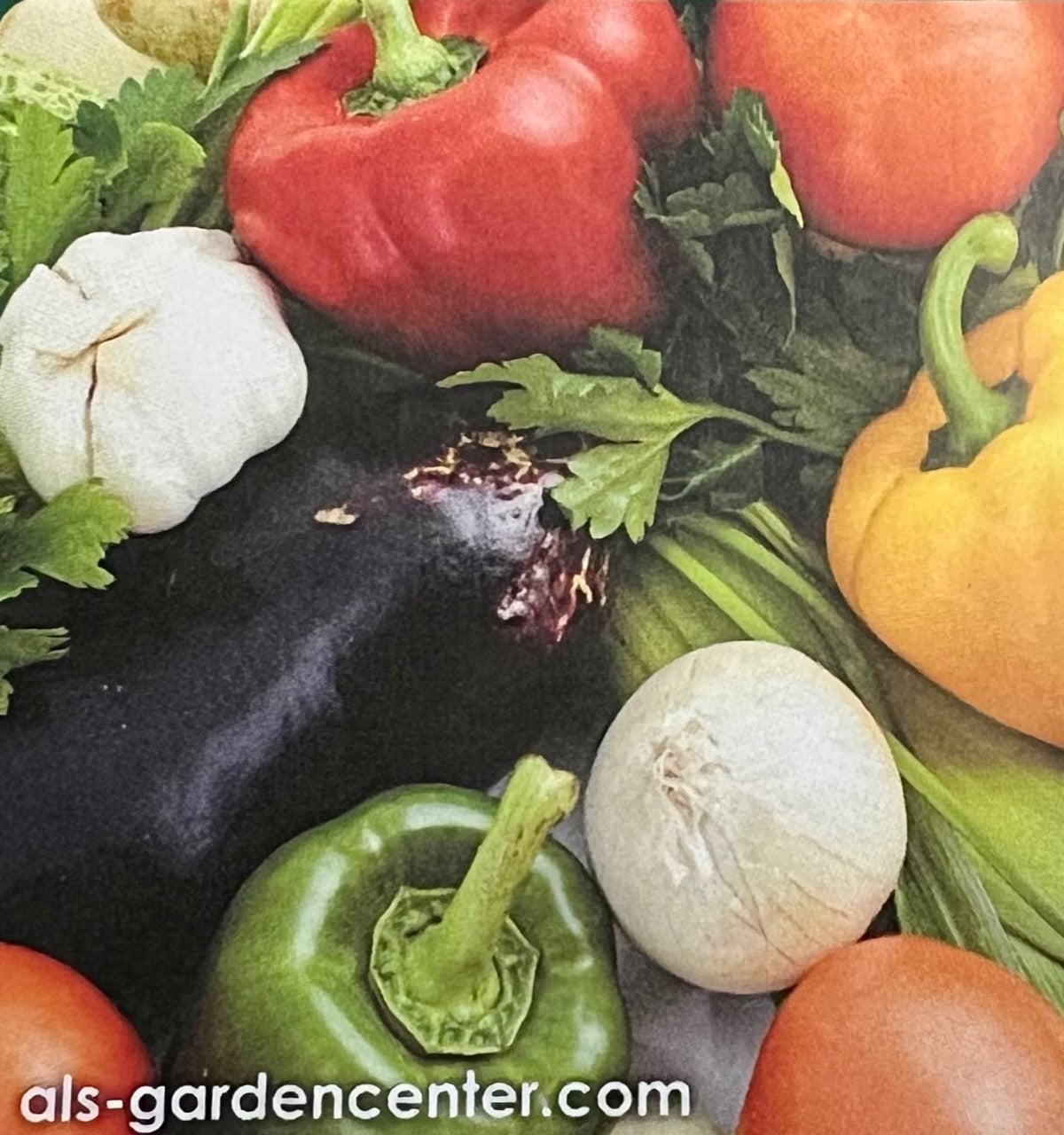 Vegetable & Herb Garden Voucher